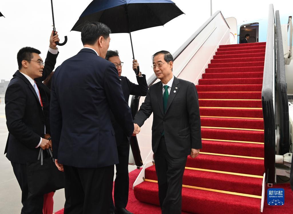 大宝lgpt游戏下载